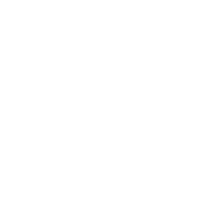 Timon Muelle